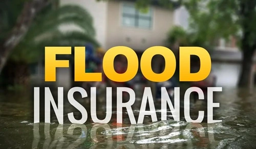 Flood Insurance: Advantages and Disadvantages
