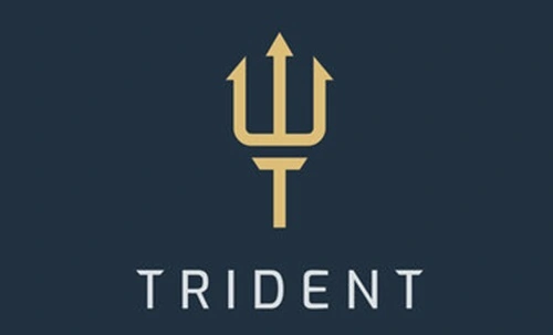 Trident Business Model: How Does Trident Earn Profit?