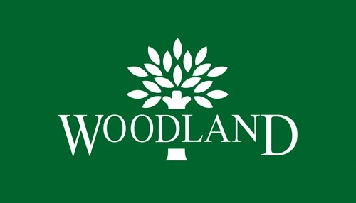 SWOT Analysis of Woodland Company in 2024