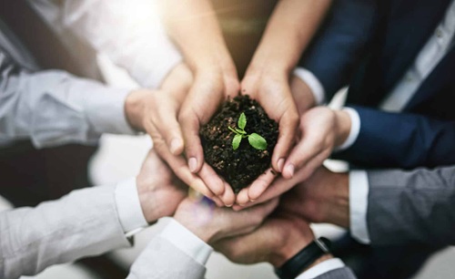 Why Energy Sustainability Is Critical for Long-term Business Success