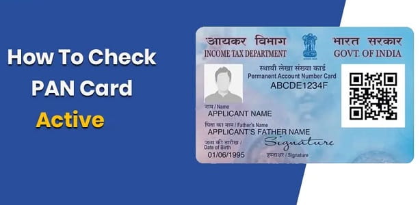 How to Check Whether Your PAN Card is Active or Not